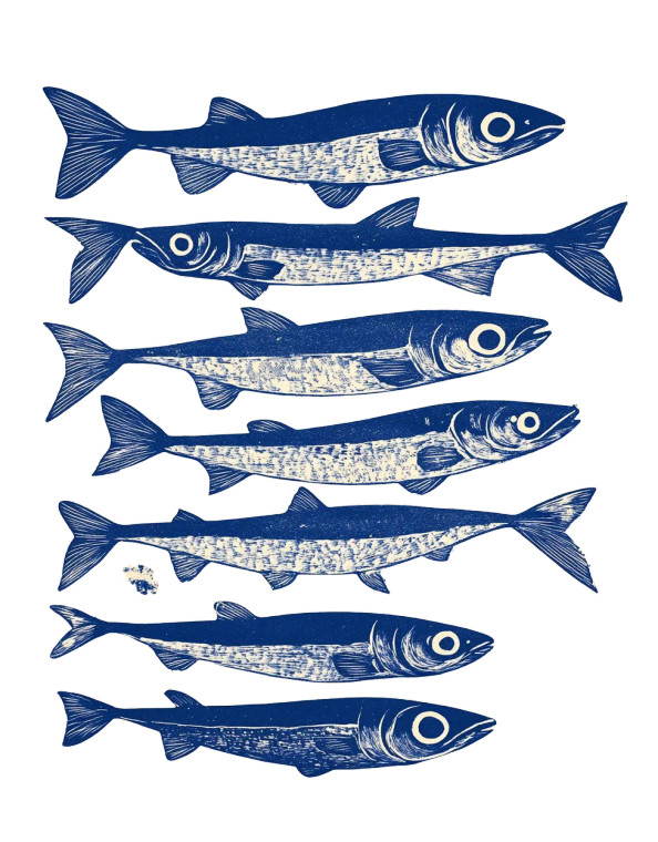 Blue Sardines Print V2 Vinyl Car Decal Sticker – Waterproof & UV-Resistant 8"