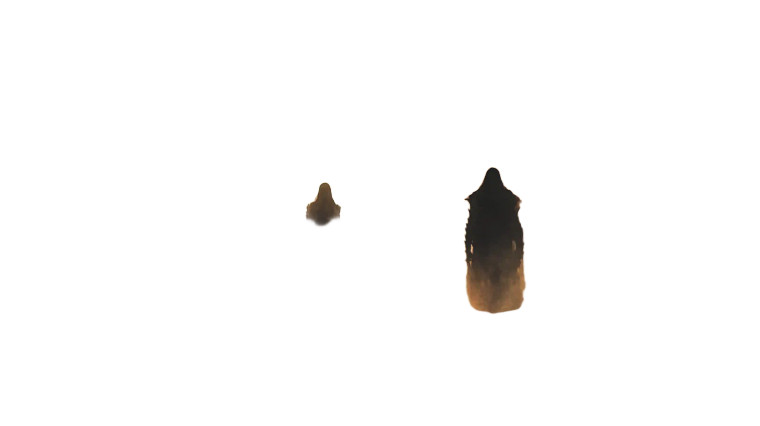 Divine Shadows Veiled Vinyl Car Decal Sticker – Waterproof & UV-Resistant 8"