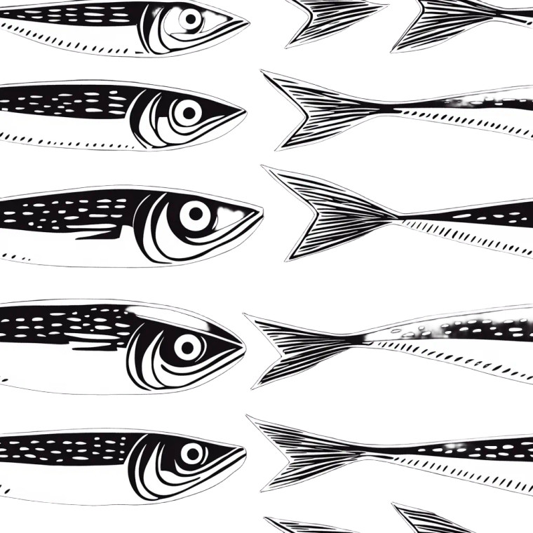 Three Sardine Woodcut Vinyl Car Decal Sticker – Waterproof & UV-Resistant 8"