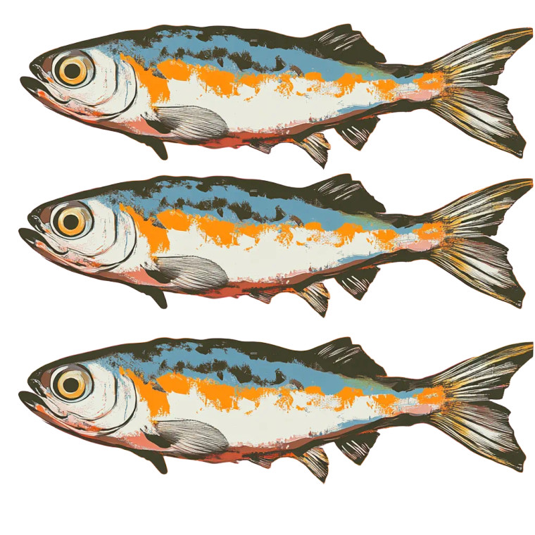 Vector Sardines Vinyl Car Decal Sticker – Waterproof & UV-Resistant 8"