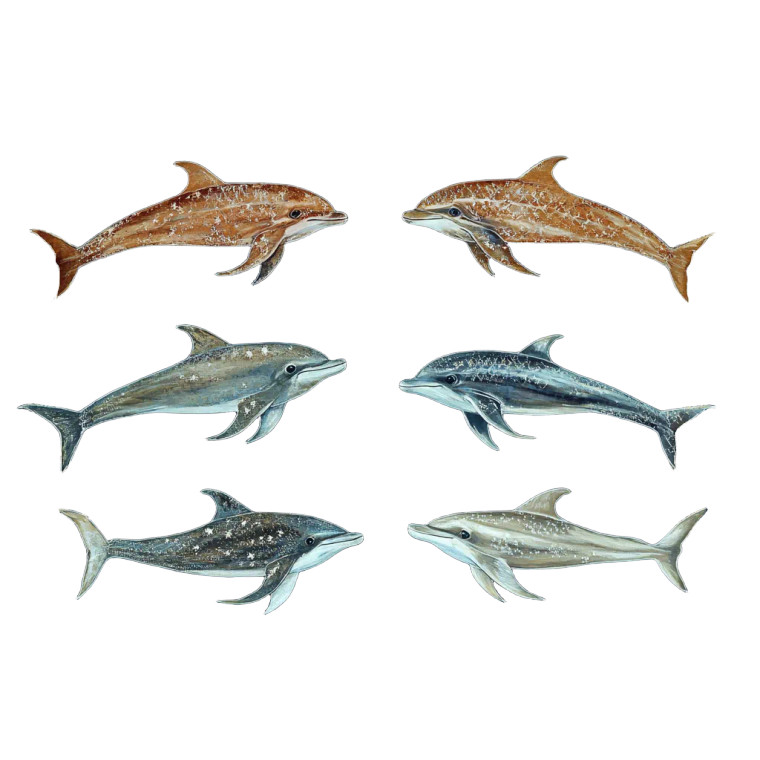 Mirrored Dolphins Vinyl Car Decal Sticker – Waterproof & UV-Resistant 8"