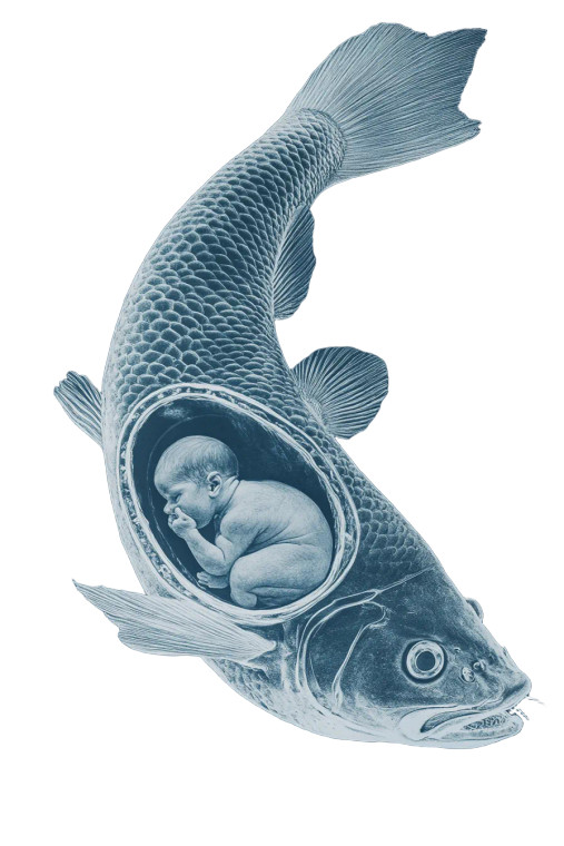 Fish With Baby Vinyl Car Decal Sticker – Waterproof & UV-Resistant 8"