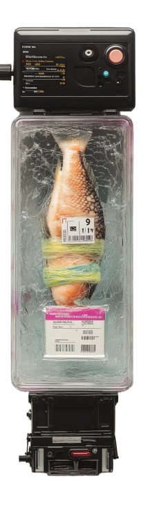 Vintage Food Trophy Vinyl Car Decal Sticker – Waterproof & UV-Resistant 8"