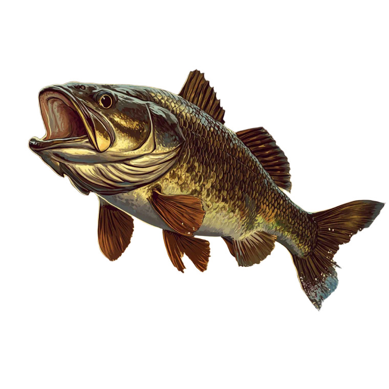 Epic Jumping Bass Vinyl Car Decal Sticker – Waterproof & UV-Resistant 8"