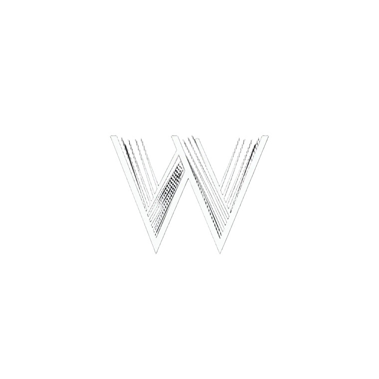 Wn Web Logo Vinyl Car Decal Sticker – Waterproof & UV-Resistant 8"
