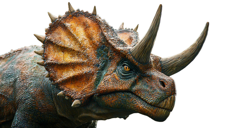 Triceratops Dinosaur Vinyl Car Decal Sticker – Waterproof & UV-Resistant 8"