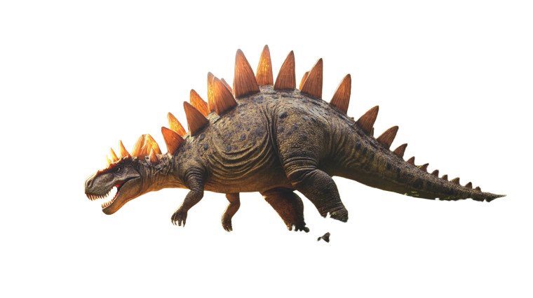 Massive Stegosaurus Vinyl Car Decal Sticker – Waterproof & UV-Resistant 8"