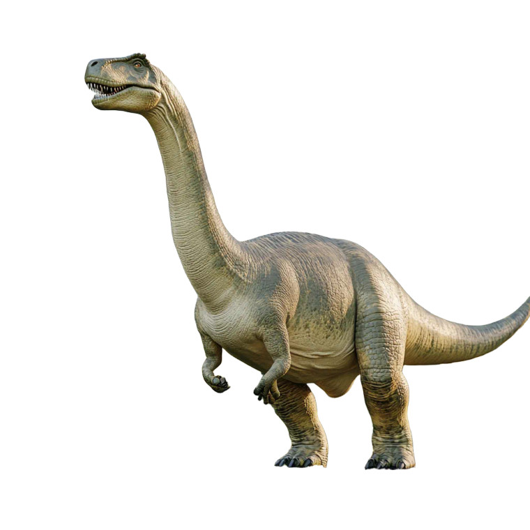 Ultra Realistic Brontosaurus Vinyl Car Decal Sticker – Waterproof & UV-Resistant 8"