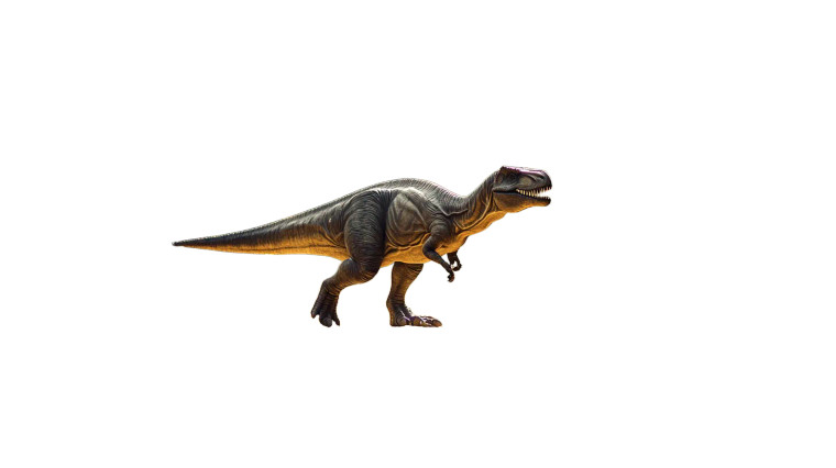 Terrasic Dinosaur Walk V2 Vinyl Car Decal Sticker – Waterproof & UV-Resistant 8"