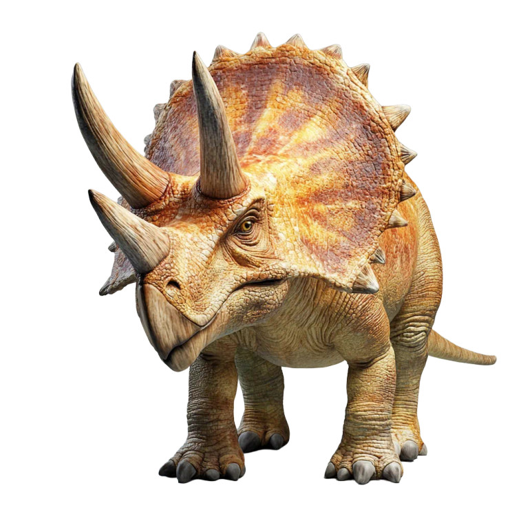Photorealistic Triceratops Vinyl Car Decal Sticker – Waterproof & UV-Resistant 8"