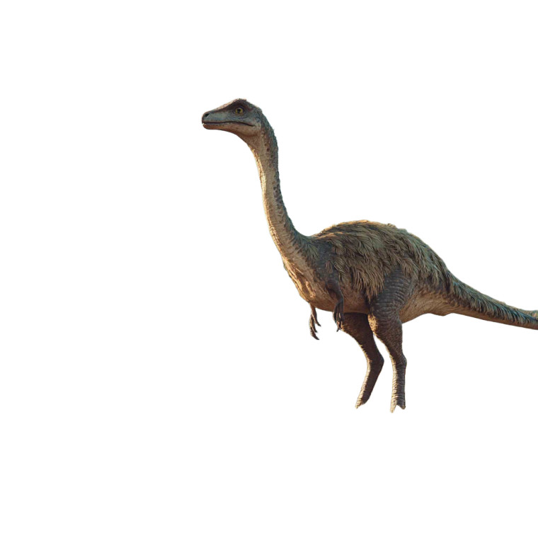 Gallimimus Dinosaur Vinyl Car Decal Sticker – Waterproof & UV-Resistant 8"