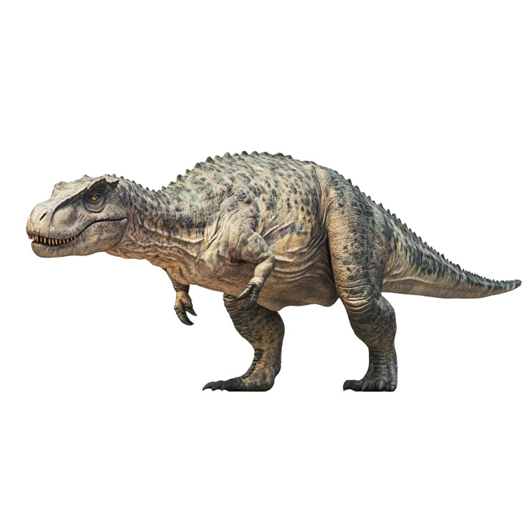 Giganotosaurus Side View Vinyl Car Decal Sticker – Waterproof & UV-Resistant 8"