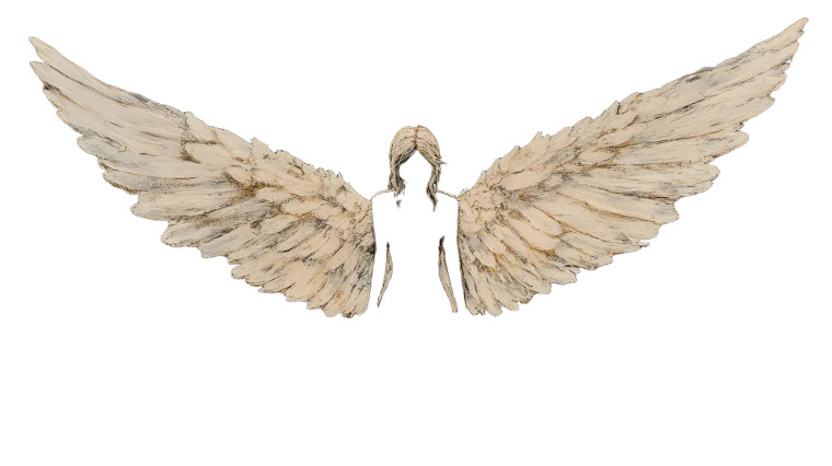 Venus With Wings Vinyl Car Decal Sticker – Waterproof & UV-Resistant 8"