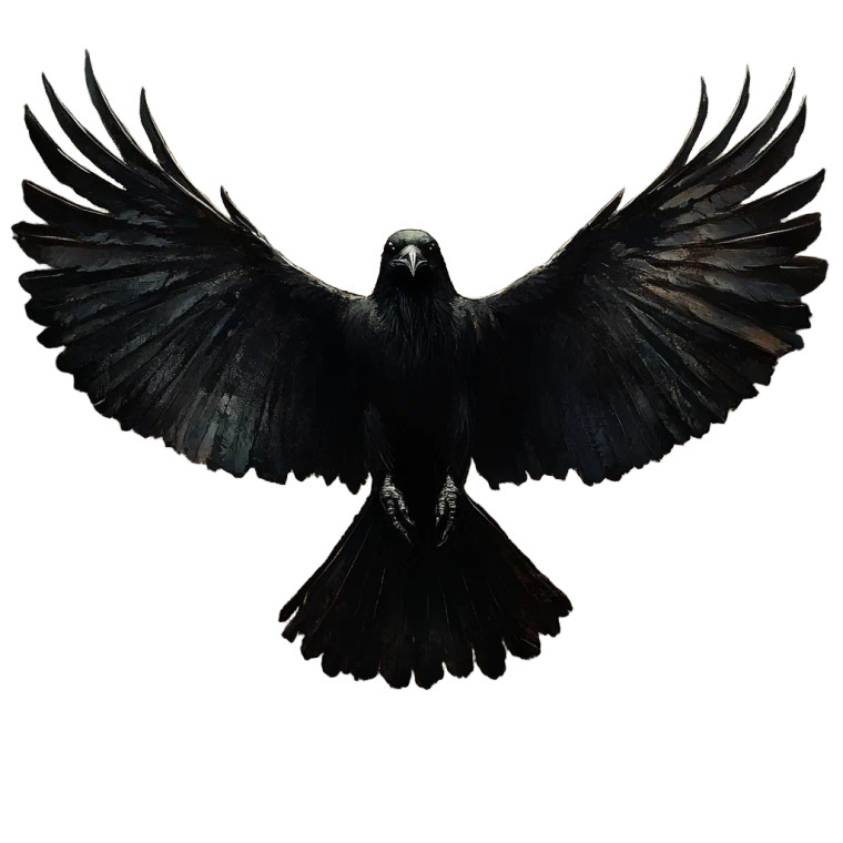 Majestic Crow Vinyl Car Decal Sticker – Waterproof & UV-Resistant 8"