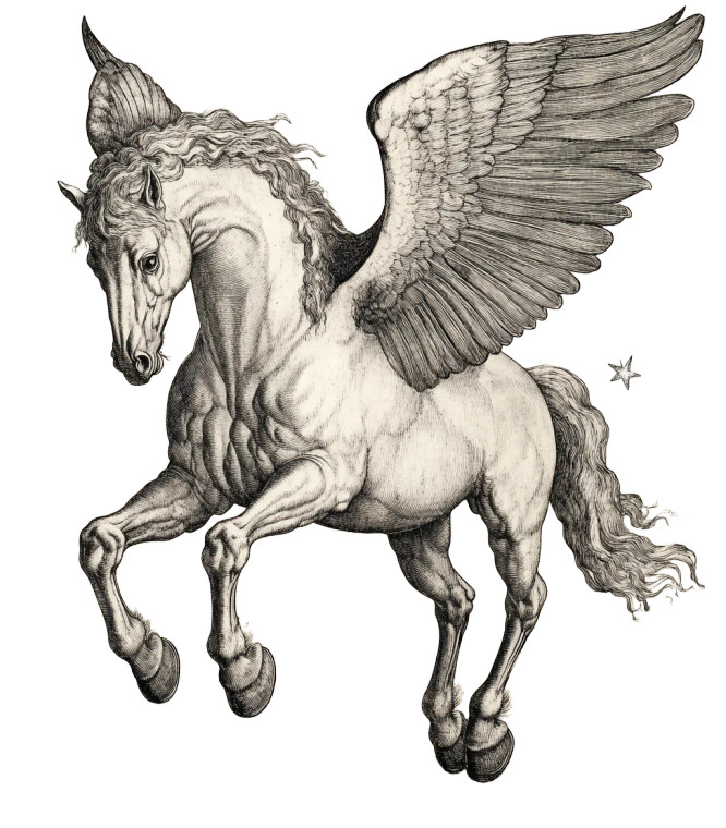 Equestrian Darkside Pegasus Vinyl Car Decal Sticker – Waterproof & UV-Resistant 8"