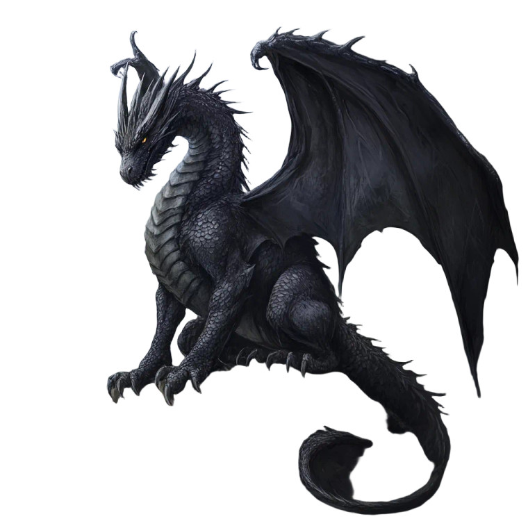 Black Fantasy Dragon Vinyl Car Decal Sticker – Waterproof & UV-Resistant 8"