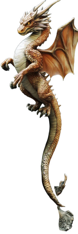 Dragon V18 Vinyl Car Decal Sticker – Waterproof & UV-Resistant 8"