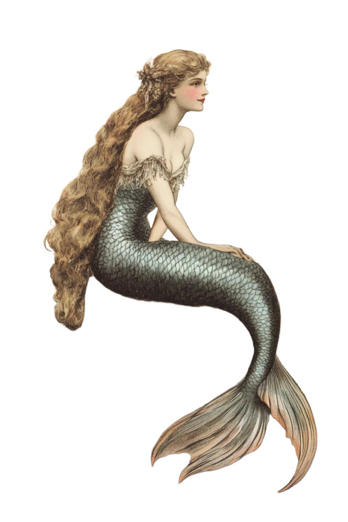 Vintage Mermaid Illustration Vinyl Car Decal Sticker – Waterproof & UV-Resistant 8"