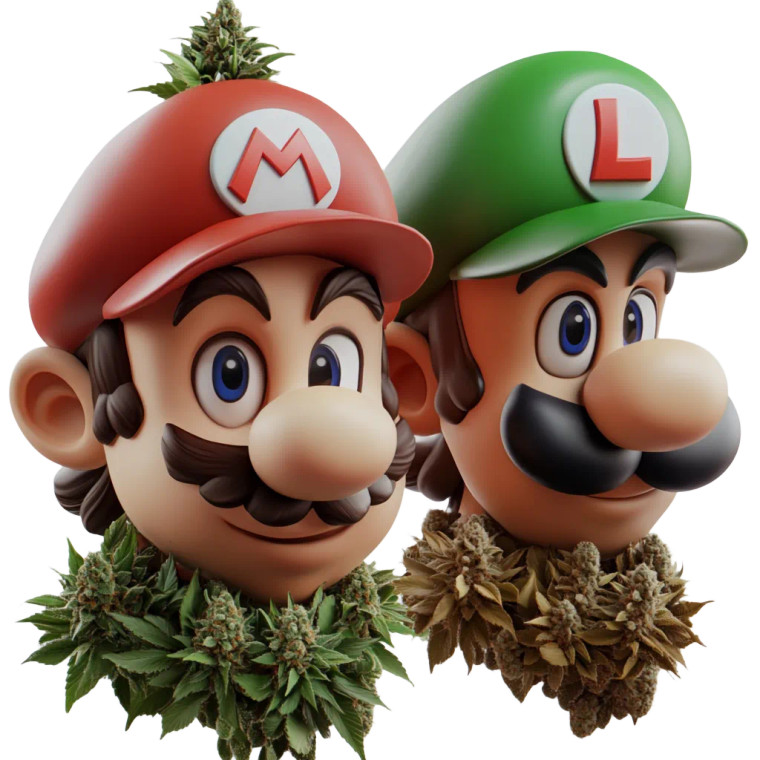 Mario & Luigi High Vinyl Car Decal Sticker – Waterproof & UV-Resistant 8"