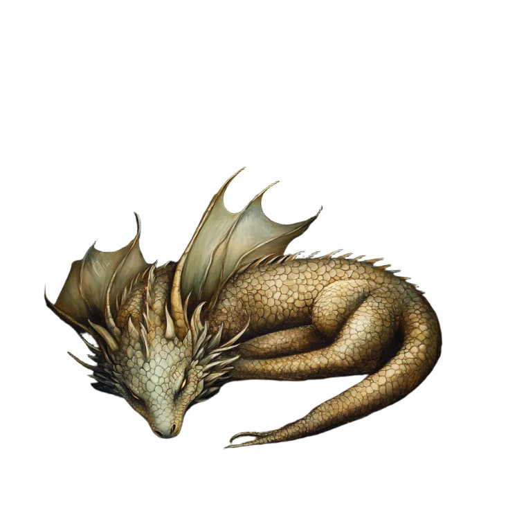 Sleeping Dragon V6 Vinyl Car Decal Sticker – Waterproof & UV-Resistant 8"