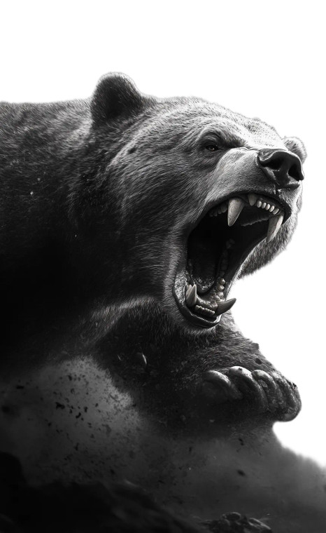 Angry Grizzly Bear V4 Vinyl Car Decal Sticker – Waterproof & UV-Resistant 8"