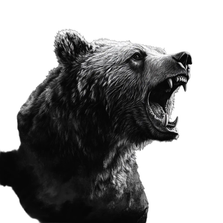 Angry Bear Side Vinyl Car Decal Sticker – Waterproof & UV-Resistant 8"