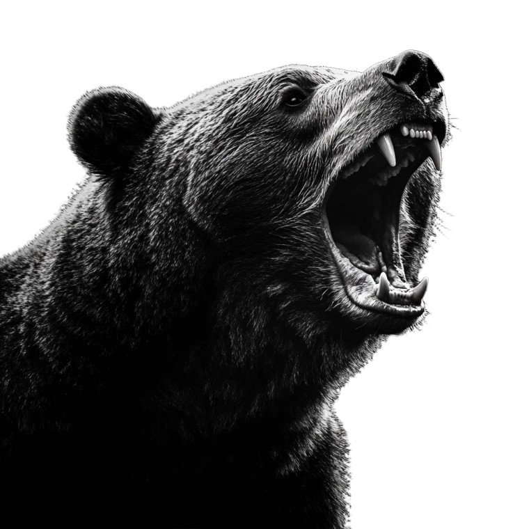 Roaring Bear V3 Vinyl Car Decal Sticker – Waterproof & UV-Resistant 8"