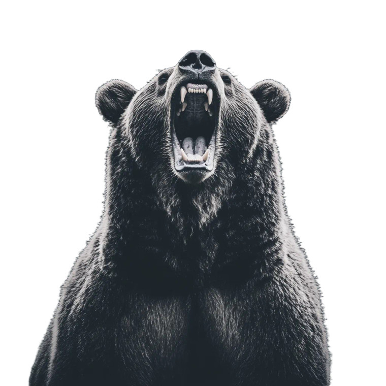 Growling Grizzly Bear V4 Vinyl Car Decal Sticker – Waterproof & UV-Resistant 8"