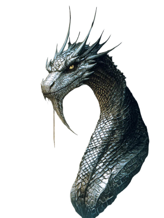 Silver Elder Dragon Vinyl Car Decal Sticker – Waterproof & UV-Resistant 8"