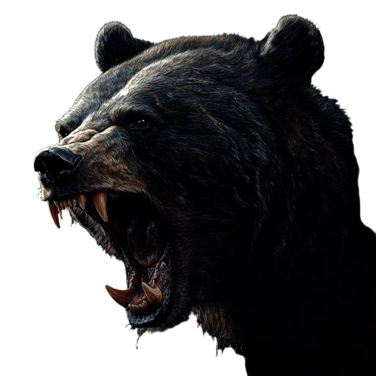 Fierce Bear Head Vinyl Car Decal Sticker – Waterproof & UV-Resistant 8"