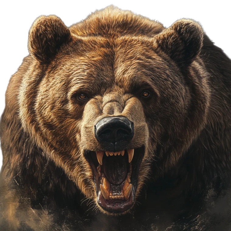 Angry Realistic Bear V2 Vinyl Car Decal Sticker – Waterproof & UV-Resistant 8"