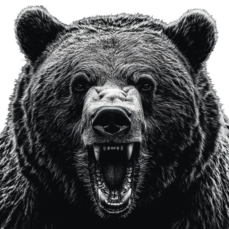 Angry Bear Close-Up V3 Vinyl Car Decal Sticker – Waterproof & UV-Resistant 8"