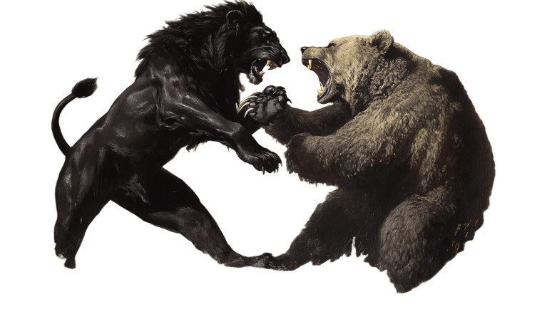 Lion Vs Bear Vinyl Car Decal Sticker – Waterproof & UV-Resistant 8"