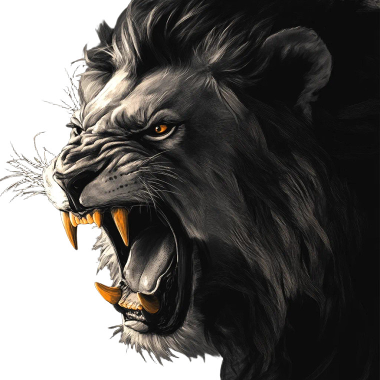 Snarling Lion Sketch Vinyl Car Decal Sticker – Waterproof & UV-Resistant 8"