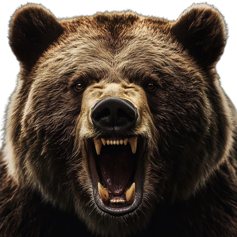 Hyper Realistic Bear Vinyl Car Decal Sticker – Waterproof & UV-Resistant 8"