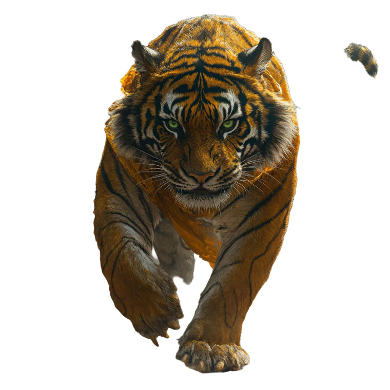 Muscular Tiger Warriors Vinyl Car Decal Sticker – Waterproof & UV-Resistant 8"