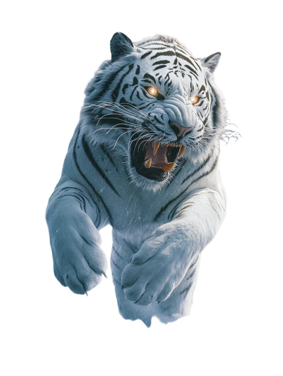 White Tiger Roaring Vinyl Car Decal Sticker – Waterproof & UV-Resistant 8"
