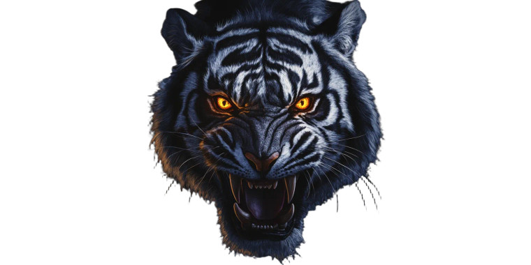 Snarling Saber Tooth Vinyl Car Decal Sticker – Waterproof & UV-Resistant 8"