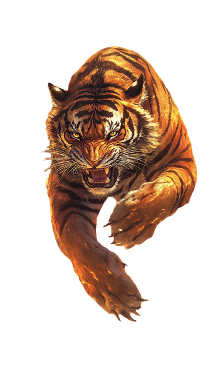 Fierce Tiger Fire Vinyl Car Decal Sticker – Waterproof & UV-Resistant 8"