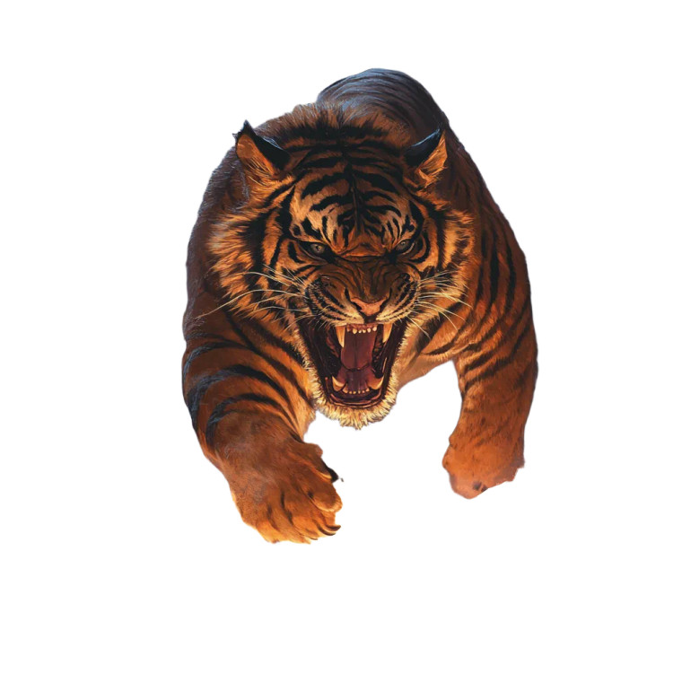 Flaming Tiger Battle Vinyl Car Decal Sticker – Waterproof & UV-Resistant 8"