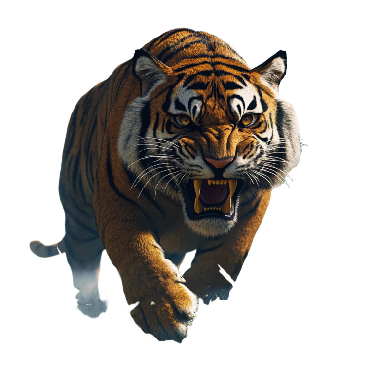 Mystical Tiger Vinyl Car Decal Sticker – Waterproof & UV-Resistant 8"