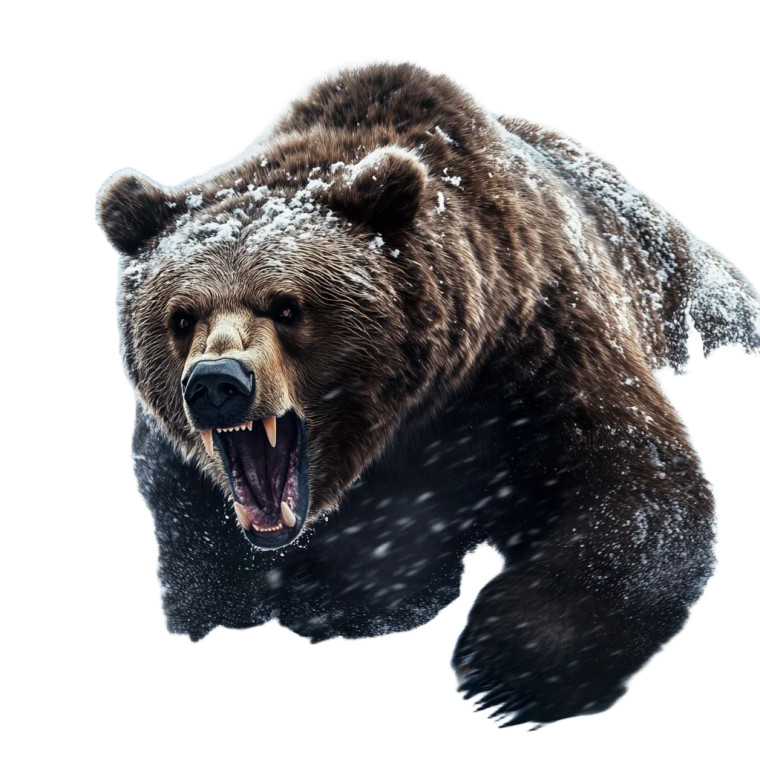 Grizzly Bear Attack Vinyl Car Decal Sticker – Waterproof & UV-Resistant 8"