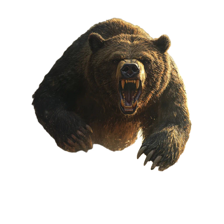 Wounded Bear Mother Vinyl Car Decal Sticker – Waterproof & UV-Resistant 8"
