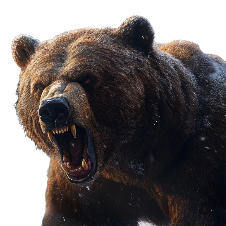 Angry Grizzly Bear V18 Vinyl Car Decal Sticker – Waterproof & UV-Resistant 8"