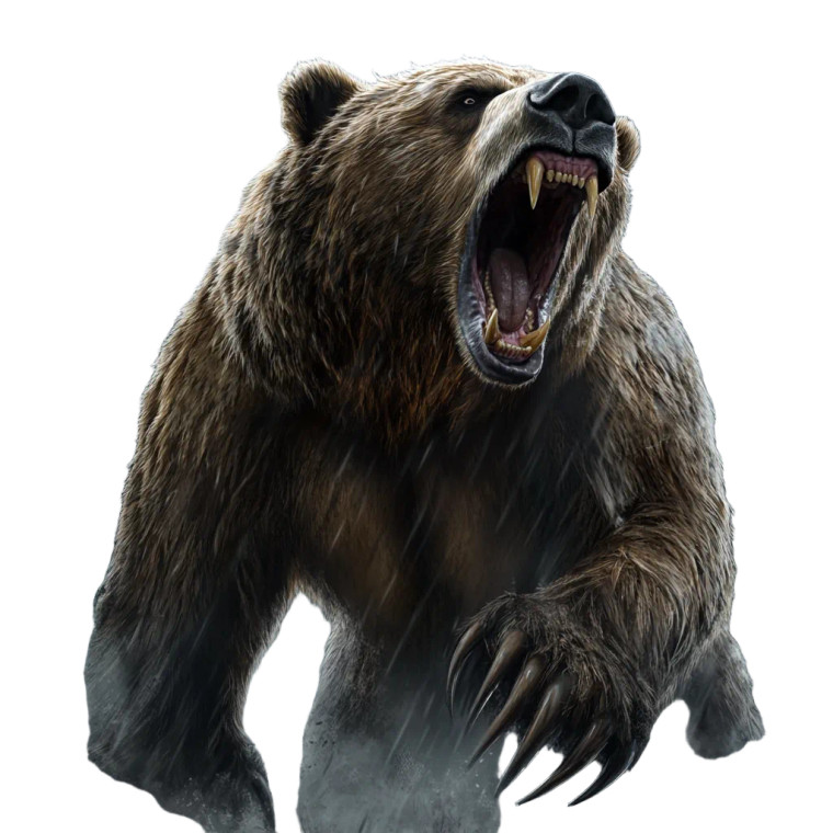 Furious Grizzly Roar Vinyl Car Decal Sticker – Waterproof & UV-Resistant 8"