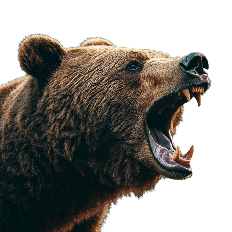 Roaring Bear V15 Vinyl Car Decal Sticker – Waterproof & UV-Resistant 8"