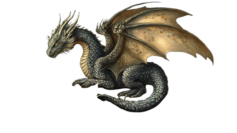 Medieval Botanical Dragon Vinyl Car Decal Sticker – Waterproof & UV-Resistant 8"