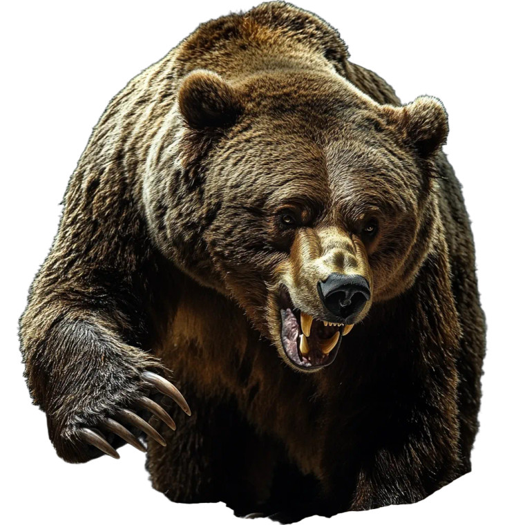 Fierce Grizzly Bear V4 Vinyl Car Decal Sticker – Waterproof & UV-Resistant 8"