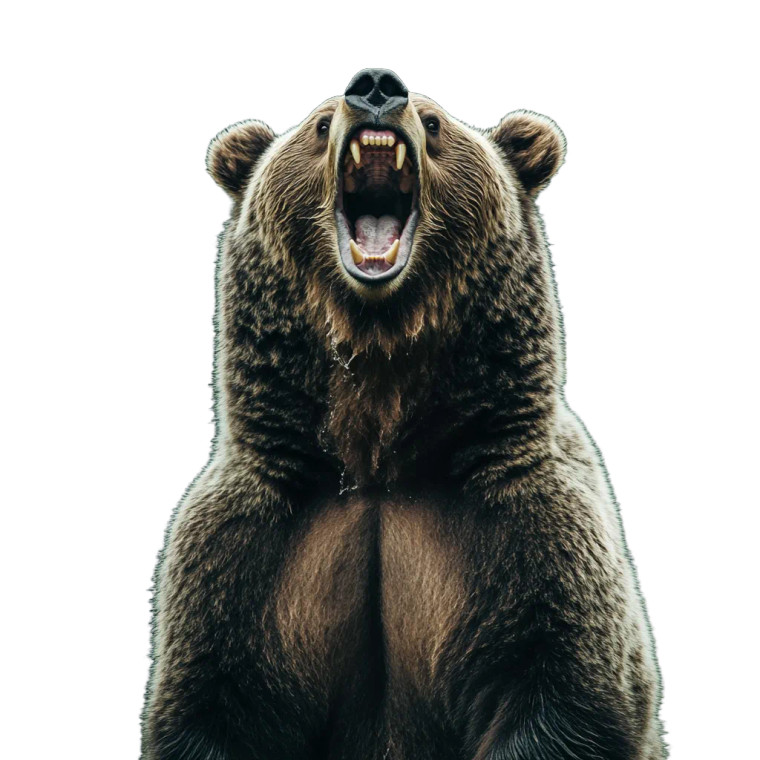 Fierce Grizzly Roar Vinyl Car Decal Sticker – Waterproof & UV-Resistant 8"