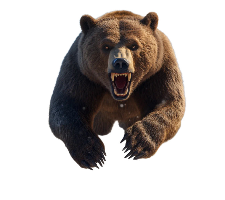 Angry Grizzly Bear V21 Vinyl Car Decal Sticker – Waterproof & UV-Resistant 8"